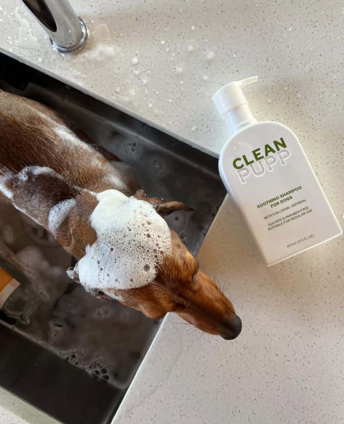 The fundamentals of bathing